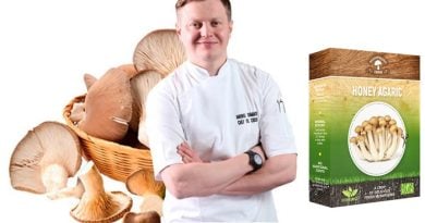 Mushrooms Farm домашнее выращивание грибов: сделайте рацион своей семьи вкуснее и полезнее!