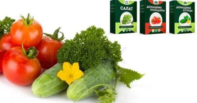Домашняя мини-ферма домашние огурцы, помидоры и зелень: выращивайте овощи у себя дома!